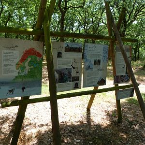 Signae about Nordic Europe -Zoodyssée (2025)