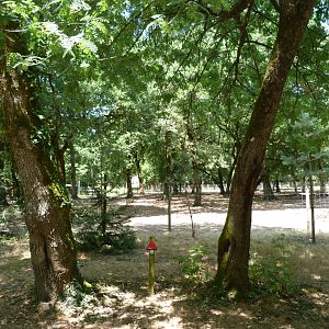 Domestic reindeer exhibit -Zoodyssée (2025)