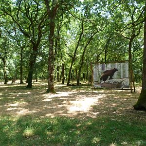 Site of future wolverine exhibit -Zoodyssée (2025)