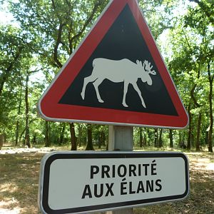 Elk crossing sign -Zoodyssée (2025)