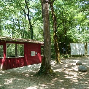 "Odyssée Nordique" view -Zoodyssée (2025)