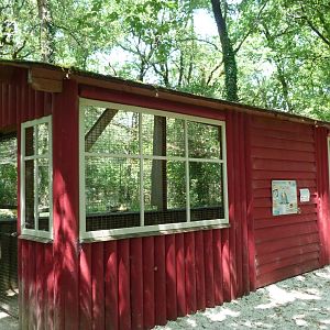 Walk-in section of snowy owl exhibit -Zoodyssée (2025)