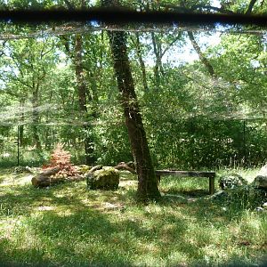 Snowy owl exhibit -Zoodyssée (2025)