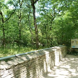 Northern lynx exhibit -Zoodyssée (2025)