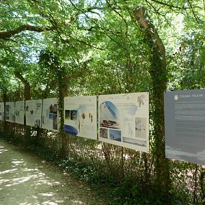 Polar ecology educative display -Zoodyssée (2025)