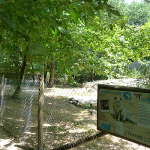 Arctic fox exhibit -Zoodyssée (2025)