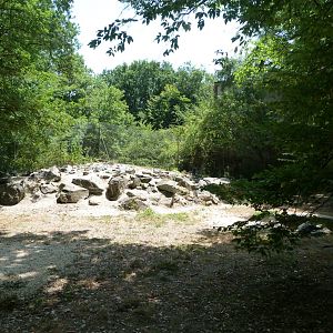 Arctic fox exhibit -Zoodyssée (2025)
