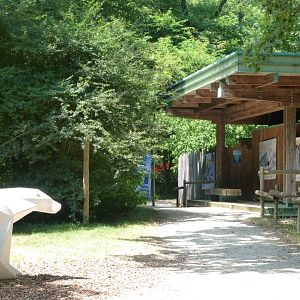 "Odyssée Nordique" view -Zoodyssée (2025)