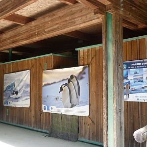 Polar photo display pavillion -Zoodyssée (2025)