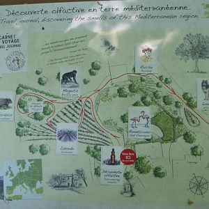 Map of "Odyssée Méditerranée" -Zoodyssée (2025)