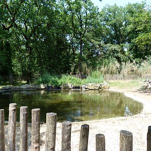 Greater flamingo exhibit -Zoodyssée (2025)