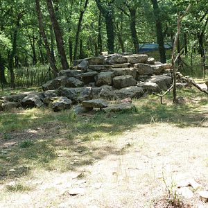 Indian crested porcupine exhibit -Zoodyssée (2025)