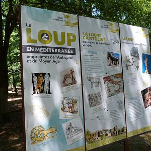 Wolves in the Mediterranean signs -Zoodyssée (2025)