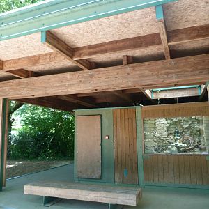 Terrarium pavillion -Zoodyssée (2025)