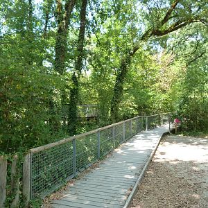 Ramp up to wolf viewing area -Zoodyssée (2025)