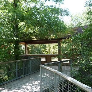 Wolf viewing platform -Zoodyssée (2025)