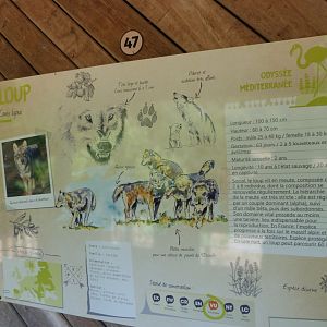 Eurasian wolf sign -Zoodyssée (2025)