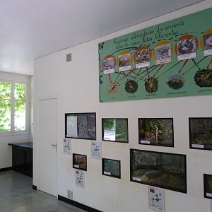 Inside view of the Vivarium -Zoodyssée (2025)