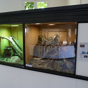 Bigger terrariums in the Vivarium -Zoodyssée (2025)