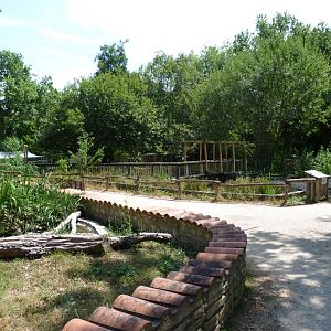 View of "Odyssée de Reptiles et des Amphibiens" -Zoodyssée (2025)