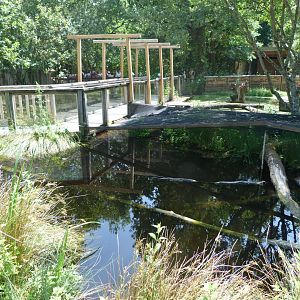 European pond turtle exhibit -Zoodyssée (2025)