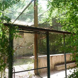 European eagle-owl exhibit -Zoodyssée (2025)