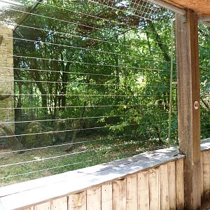 European eagle-owl exhibit -Zoodyssée (2025)