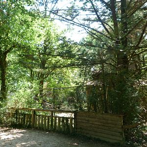 View of northern raccoon exhibit -Zoodyssée (2025)