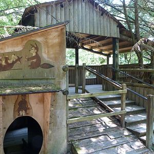 Raccoon viewing area -Zoodyssée (2025)