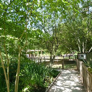 View of "Odyssée des Zones Humides" -Zoodyssée (2025)