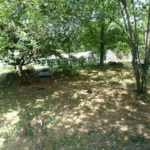 Eurasian otter exhibit -Zoodyssée (2025)