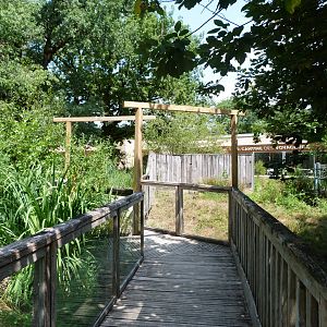 Broadwalk in between pond turtles and otters -Zoodyssée (2025)