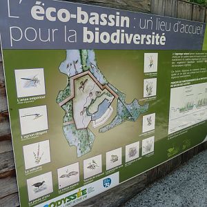Sign about artificially generated wetland -Zoodyssée (2025)