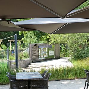 View from restaurant -Zoodyssée (2025)