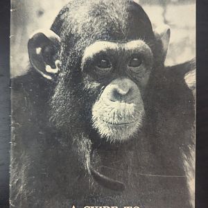 A Guide to West African Mammals