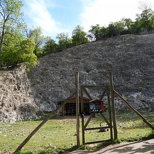Wildpark Ernstbrunn - Alpine ibex