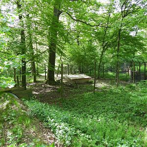 Wildpark Ernstbrunn - One of the many wolf and dog exhibits of the wolf science center
