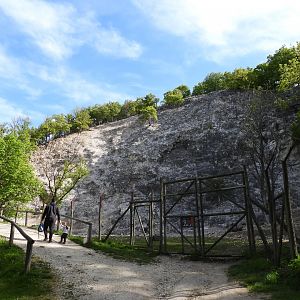 Wildpark Ernstbrunn - Chamois