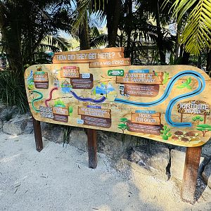 New - Tortoise Village - signage on journey of Radiated Tortoise