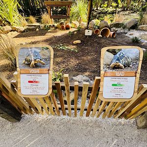 New - Tortoise Village - individual signage