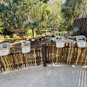 New - Tortoise Village - outdoor yard