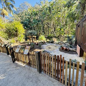New - Tortoise Village - outdoor yard