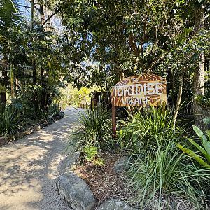 New - Tortoise Village - entry pathway