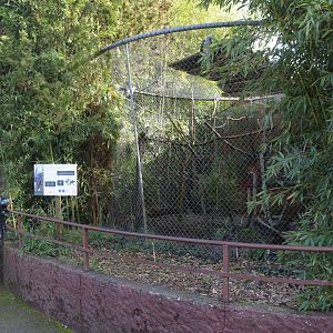 African grey parrot aviary