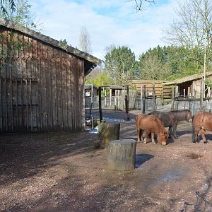 General view of domestic animals area