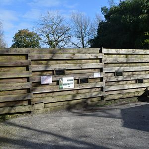 Point of view of the maned wolf area