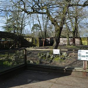 Eurasian moose enclosure