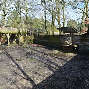 Eurasian moose enclosure