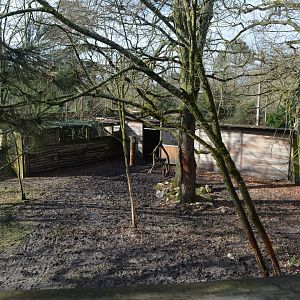 Eurasian moose enclosure