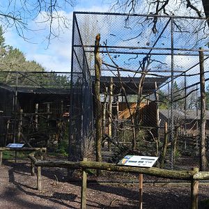 Aviaries for macaws